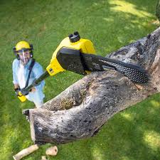 Best Lawn Mowing  in Brunswick, NC